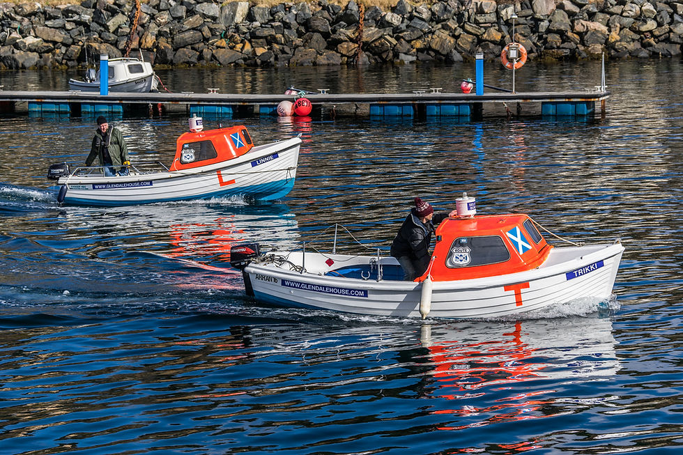 _DSC0235